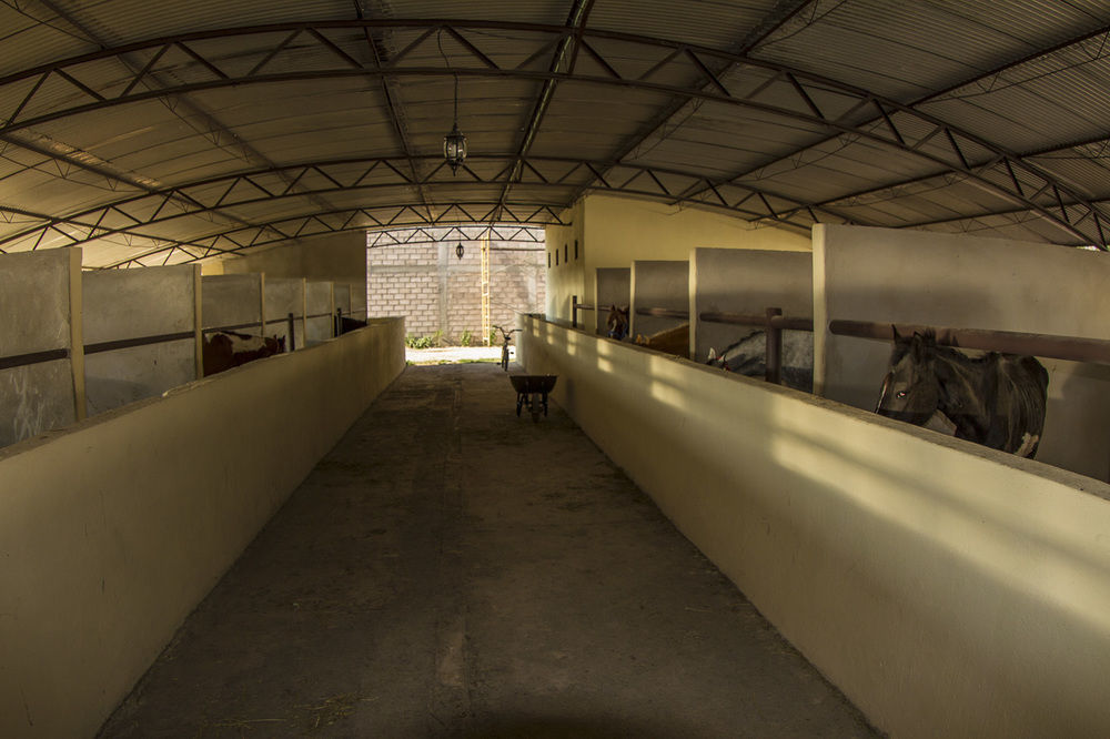 فندق Teoticamp San Juan Teotihuacán المظهر الخارجي الصورة